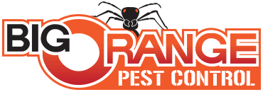 Pdx termites, bloom pest control termite exterminator #pestcontrol,pestcontrolservices,rodentcontrol,domyownpestcontrol,diypestcontrol,doyourownpestcontrol,homepestcontrol,homepestcontrol,bedbugpestcontrol,bestpestcontrol,bestpestcontrol. Home Farragut Termite Control Pest Control And Exterminator