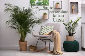 Per arredare con gusto e arte gli interni e gli esterni delle abitazioni. Scottiflora Fiori A Domicilio In Tutta Italia