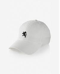 Express Waffle Texture Small Lion Baseball Hat Baseball Hats Hats For Men Hats