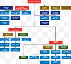 Eli Lilly And Company Pharmaceutical Industry Bristol Myers