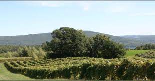 Canandaigua Wine Trail Finger Lakes Canandaigua Lake Wine Trail Wine Tour