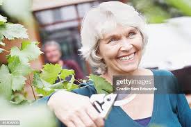 217 Sam Gardiner Stock Photos, High-Res Pictures, and Images