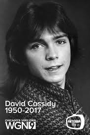 David Cassidy, who came to fame as a '70s teen heartthrob and lead singer 