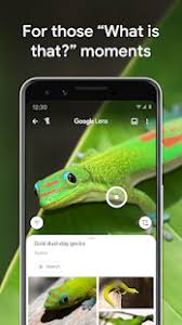Google Lens Apps On Google Play