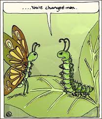 Check spelling or type a new query. Bad Science Jokes