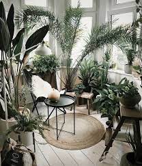 Plant Throne Inspo Margot Hupert Art Interior Design Plants Room With Plants Plant Decor Indoor
