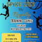 Spike Like Royalty Ages 10-12 Volleyball Clinic event image