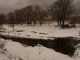 Bola de nieve córdoba, ciudad de córdoba. Wallpaper Landscape Water Sky Snow Winter Branch Ice Argentina Freezing Google Fin Yahoo Cordoba Tormenta Tree Flickr Naturaleza Nieve Invierno Lluvia De Today Frio Hoy Tn Septiembre Intiyaco Laultimanieveenprimavera