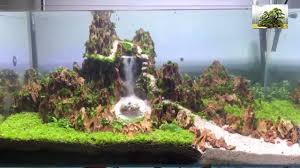 Sand Waterfall Aquarium My Underwater Waterfall Aquarium 90 X 45 X 45cm Aquarium Aquascape Biotop Sandfall