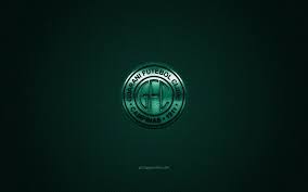 Veja mais ideias sobre futebol brasileiro, cidade de campinas, clube. Download Wallpapers Guarani Fc Brazilian Football Club Serie B Green Logo Green Carbon Fiber Background Football Campinas Brazil Guarani Fc Logo For Desktop Free Pictures For Desktop Free