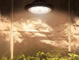 What is a grow lamp? 10 Best Ufo Led Grow Lights Reviewed Jul 2021
