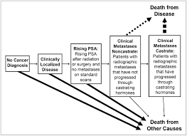 Being armed with information is vital to begin the fight. Novel Tracers And Their Development For The Imaging Of Metastatic Prostate Cancer Journal Of Nuclear Medicine