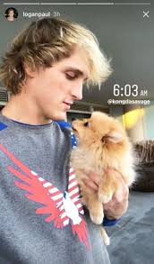 King Kong Logan Paul Kong Pillow Top Kong Logan's Dog Free Shipping Black  Friday