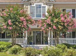 Big bluestem is one of our most important native grasses. These Texas Native Plants Will Make Your Home Look Amazing Metroplex Social