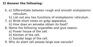 Plant cells have larger sized vacuole. Answer This Fast Plz Brainly In