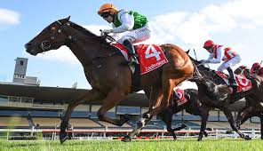 The golden slipper is australia's premier sprint race for two year olds and is run at set weight conditions. Lelkp9dqdd7egm