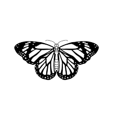 Monarchy Tattoo Semi Permanent Tattoos By Inkbox Monarch Butterfly Tattoo Butterfly Tattoo Stencil Butterfly Tattoo
