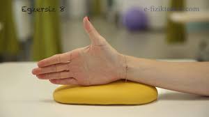 el bilegi eklem hareketleri youtube