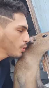 Cuando tu "compañero" favorito, no se ajusta a lo convencional🩷🩷🩷  Créditos: @lalupaviral2 (Instagram)