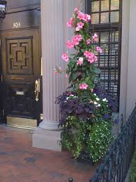Container With Pink Mandevilla White Impatiens Sweet Potato Vine Container Flowers Container Garden Design Garden Containers