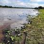 Loreto: organizaciones piden atención urgente a comunidades nativas afectadas por derrame en el río Amazonas