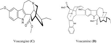 Image result for Voacanga pachyceras