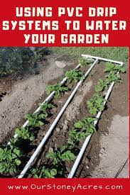 Pvc Drip Irrigation System For Your Garden Our Stoney Acres Garden Watering System Drip Irrigation Drip Irrigation System