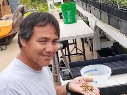 Greenwell Farms Kona Coffee Blog