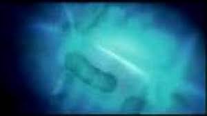 University of california, santa barbara. Robert Sinsheimer Awarded 2007 08 Ucsc Foundation Medal Youtube