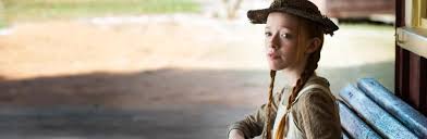 Instead the story emphasizes how the very nature of her history challenges her even in the supposed warmth of a small town. Anne With An E The Banner