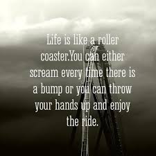 Life Is Like A Roller Coaster The Daily Quotes Roller Coaster Quotes Life Is Like Inspirational Quotes Pictures