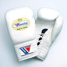 We are the world's only exclusive high quality custom boxing gloves and gear provider. Winning Boxing Gloves