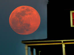 The first supermoon of 2021 rises over sydney's iconic bondi beach pic.twitter.com/srj82aioef. Supermoon Helped Free Ever Given From Suez Canal By Boosting Tide
