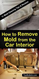 7 Ways To Remove Mold From The Car Interior Mold Remover Cleaning Car Interior Car Upholstery Cleaner