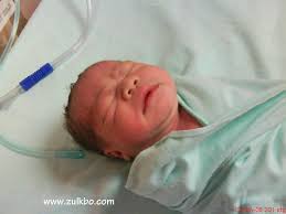 Bakuratul Amani Ke Sekolah Zulkbo Baby Face Baby Face