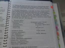 Melalui tulisan tangan kita bisa melihat apakah orang tersebut bersifat tegas, sabar, bahkan memiliki jiwa seni tinggi. Silakan Menikmati Orgasme Mata Lewat 20 Tulisan Tangan Yang Kebangetan Rapinya