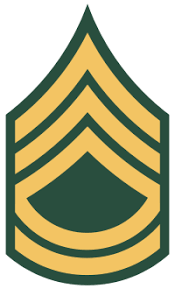 U S Army Sergeant First Class Pay Grade And Rank Details