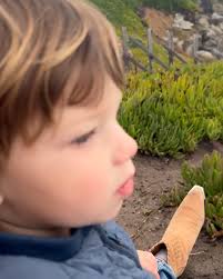 a cali christmas 🤍🤍🤍