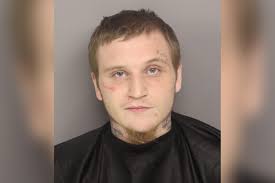 South Carolina men arrested for 'extremely disturbing' attacks