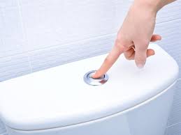 images?q=tbn:ANd9GcSuoCDKFRcOpSTEFTwjGy1MdUz2g-9I2WexgQ&s