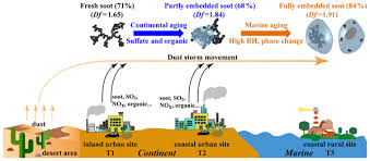 Acp Relations North Atlantic Marine Organic Aerosol Characterized By Novel Offline Thermal Desorption Mass Spectrometry Polysaccharides Recalcitrant Material And Secondary Organics