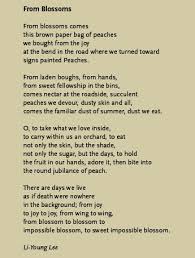 Persimmons Peaches Two Poems By Li Young Lee Poems Inspirational Words Prose Poetry