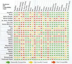 African Cichlid Compatibility Chart Facebook Lay Chart