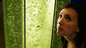 Study reveals biofuels no substitute