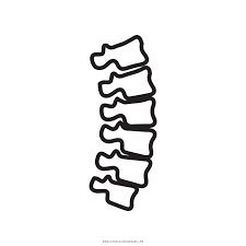 Find & download free graphic resources for spine. Spine Coloring Page Ultra Coloring Pages