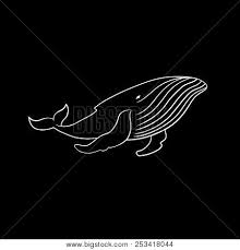 Check spelling or type a new query. White Outline Vector Photo Free Trial Bigstock