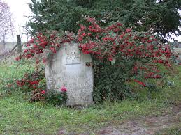 Yul Brynner Saint Michel De Bois Aubry Russian Orthodox Monastery Luze Centre Region France Famous Tombstones Famous Graves Grave Marker