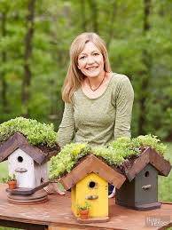 Mit dem bausatz können kinder ein vogelhaus selbst zusammen bauen. A Green Roof Birdhouse Is Not Only Environmentally Friendly But It Also Gives Your Winged Garden Visitors S Diy Vogelhaus Dachbegrunung Gartengestaltung Ideen