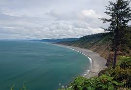 The park is home to many tree species including spruce, hemlock, pine, fir and red alder and wildflower meadows with a shoreline that consists of sandy beaches and sheer cliffs against the pacific ocean. Agate Beach At Patrick S Point State Park Trinidad Ca California Beaches