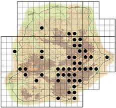 Image result for Dovyalis zeyheri